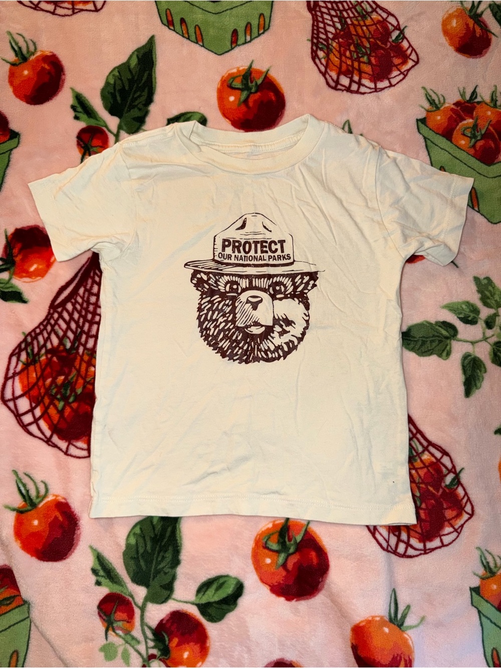 Smokey The Bear Kids Shirt Protect Our Parks Grphic Tee 4T Beige 100% Cotton